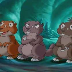 ImagePress Image #56f75bcc6a230