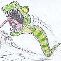 ImagePress Image #5801b6273a37c